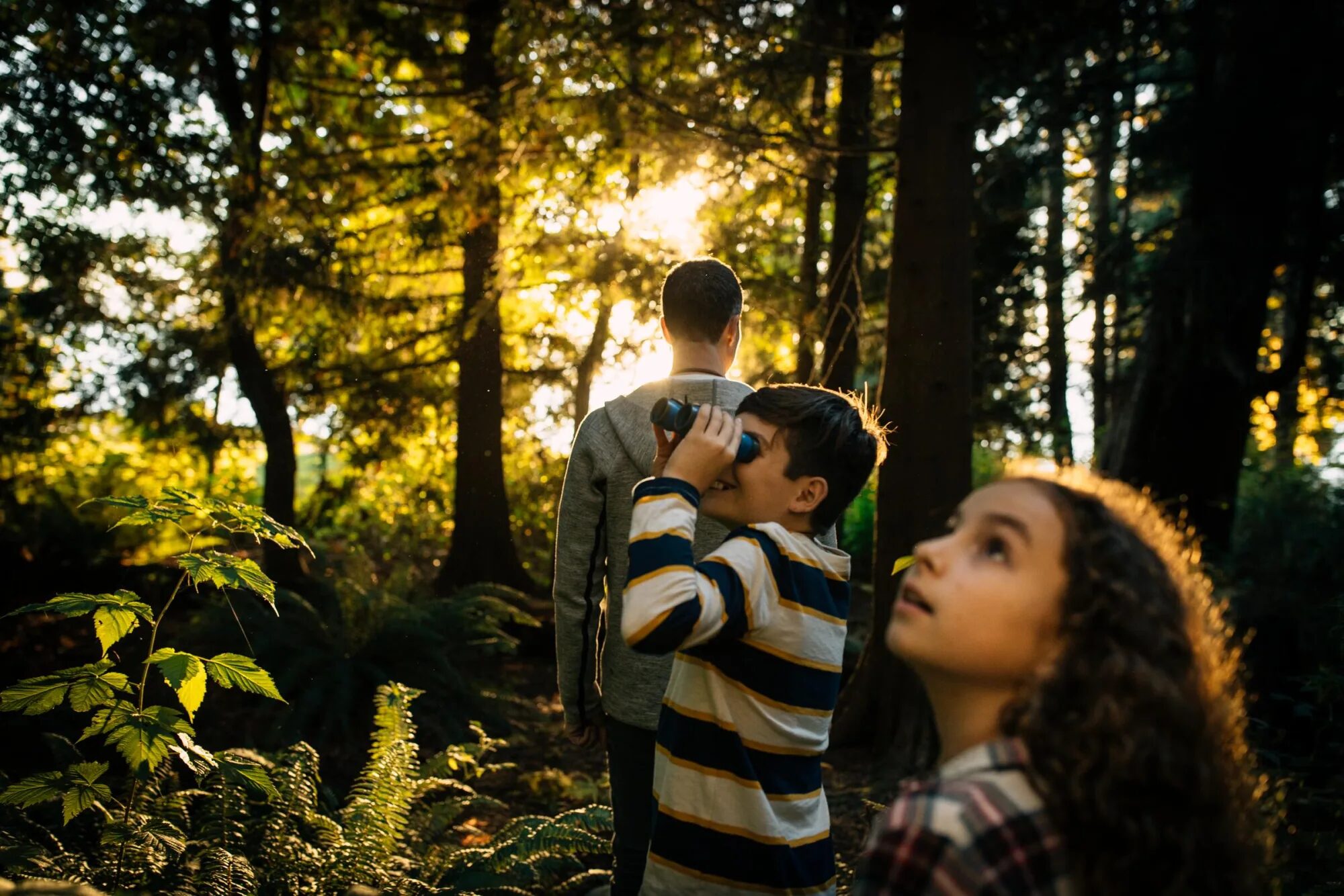 A Family-Friendly Stay in North Vancouver: What to Look for When Travelling with Kids