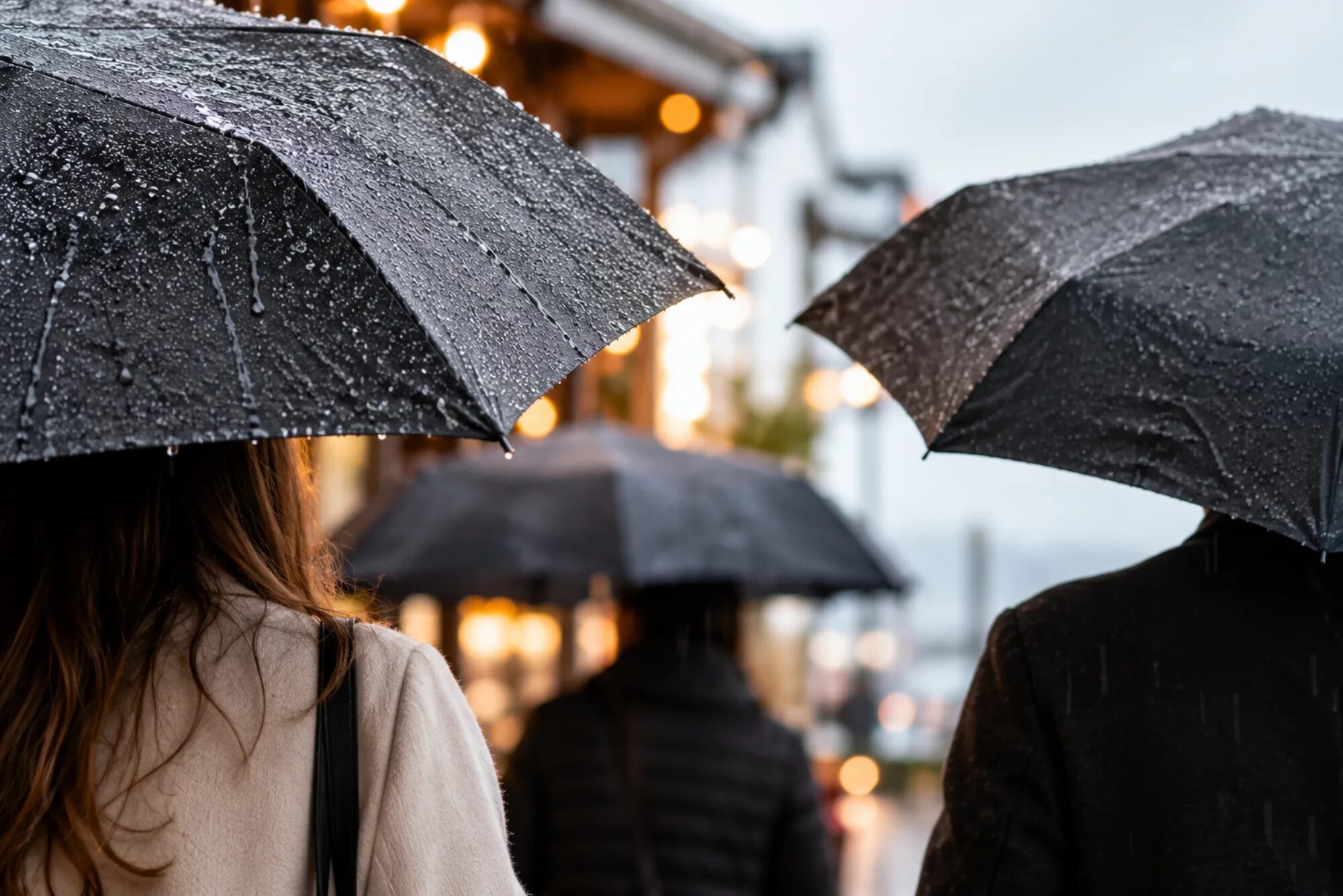 Rainy Days in North Vancouver: Things to Do When the Weather Turns