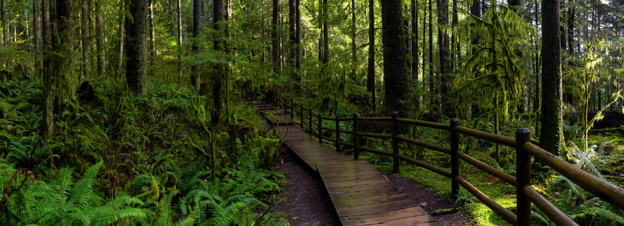 Special Events with Talaysay Tours: Lynn Canyon Ecology Centre