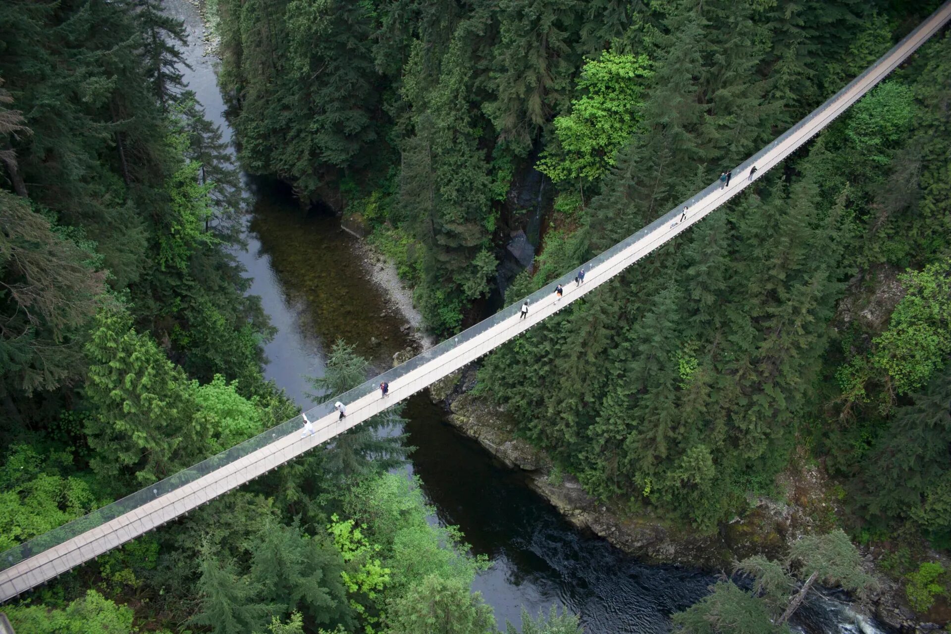 Capilano Suspension Bridge near Pinnacle Hotel at the Pier in North Vancouver
