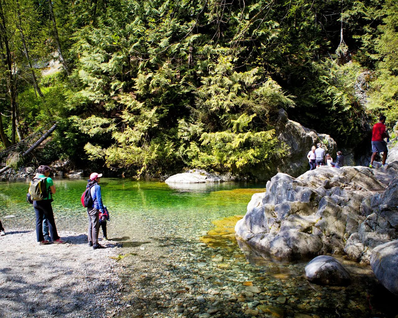 Lynn Canyon Park near Pinnacle Hotel at the Pier in North Vancouver